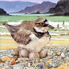 Cross stitch pattern: #2089212