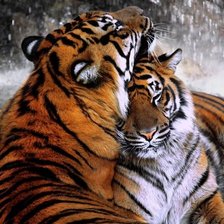 Cross stitch pattern: #2092980