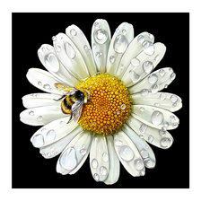 Cross stitch pattern: #2094939