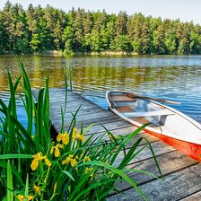 Cross stitch pattern: #2097119