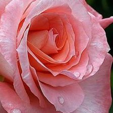 Cross stitch pattern: #2097128