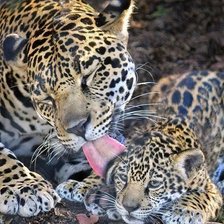 Cross stitch pattern: #2097643