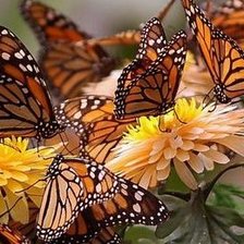 Cross stitch pattern: #2098515