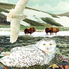 Cross stitch pattern: #2098593