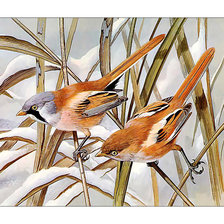 Cross stitch pattern: #2099470