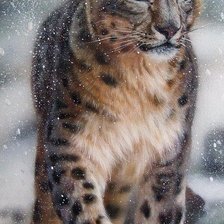 Cross stitch pattern: #2099714