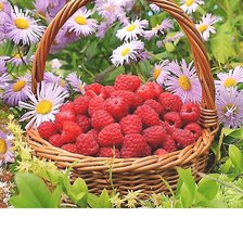 Cross stitch pattern: #2099757