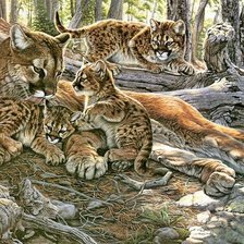 Cross stitch pattern: #2100504