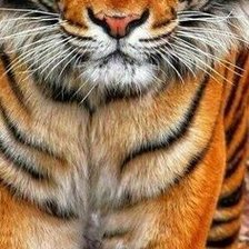 Cross stitch pattern: #2102019