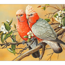 Cross stitch pattern: #2102587