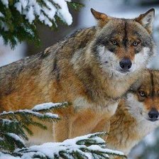 Cross stitch pattern: #2102662