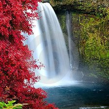 Cross stitch pattern: #2102839