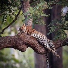 Cross stitch pattern: #2105962