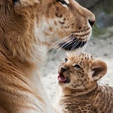 Cross stitch pattern: #2105976