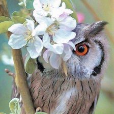 Cross stitch pattern: #2106015