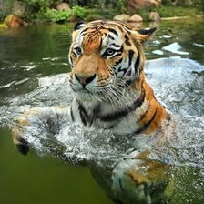 Cross stitch pattern: #2106018