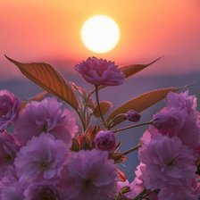 Cross stitch pattern: #2106028