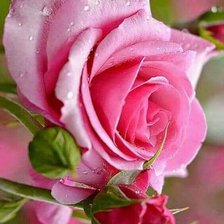 Cross stitch pattern: #2106034