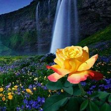 Cross stitch pattern: #2109002