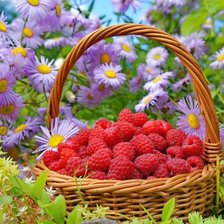 Cross stitch pattern: #2110053