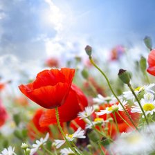 Cross stitch pattern: #2110054