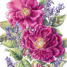 Cross stitch pattern: #2111324