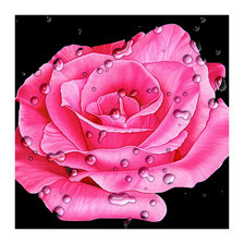 Cross stitch pattern: #2113776