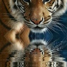 Cross stitch pattern: #2114268