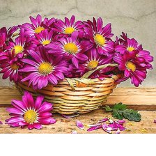 Cross stitch pattern: #2114529