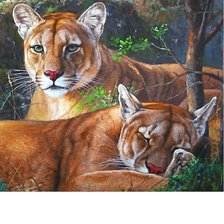 Cross stitch pattern: #2114531