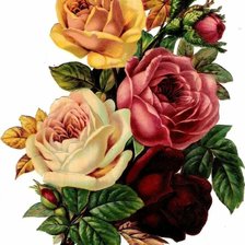 Cross stitch pattern: #2114610