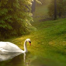 Cross stitch pattern: #2115414