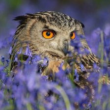 Cross stitch pattern: #2115849