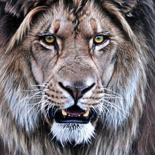 Cross stitch pattern: #2116032