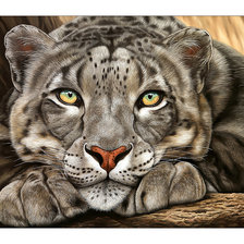 Cross stitch pattern: #2116932