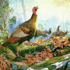 Cross stitch pattern: #2117327