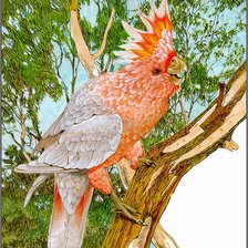 Cross stitch pattern: #2118140