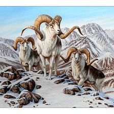 Cross stitch pattern: #2118757