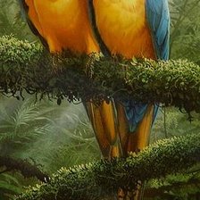 Cross stitch pattern: #2118953