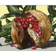 Cross stitch pattern: #2118981