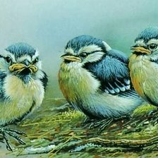Cross stitch pattern: #2119686