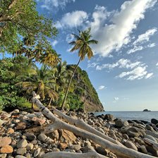 Cross stitch pattern: #2119693