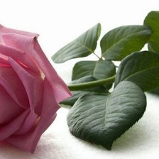 Cross stitch pattern: #2121929