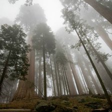 Cross stitch pattern: #2122317