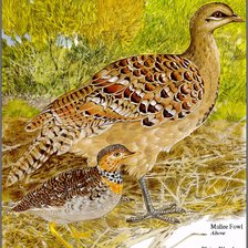 Cross stitch pattern: #2122552