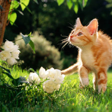 Cross stitch pattern: #2122599