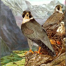 Cross stitch pattern: #2123475