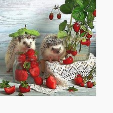 Cross stitch pattern: #2123520