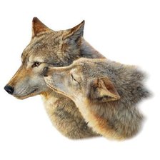 Cross stitch pattern: #2123802