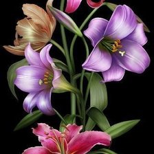 Cross stitch pattern: #2123904